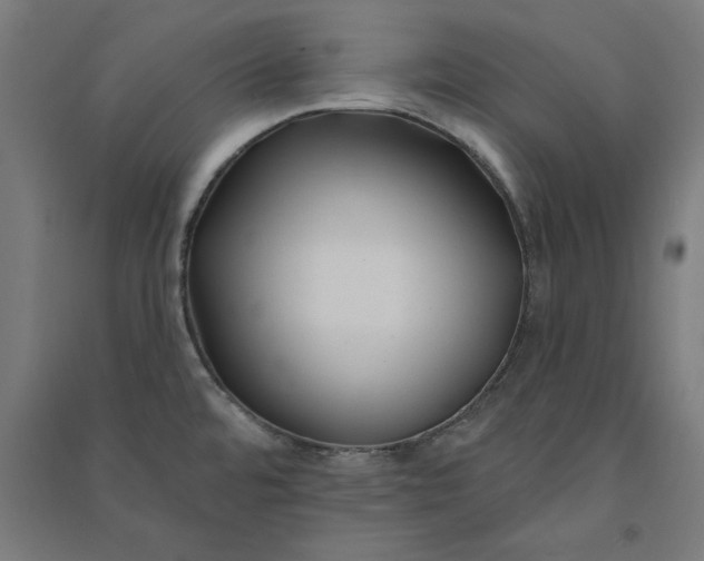 X0000091071480200708201358