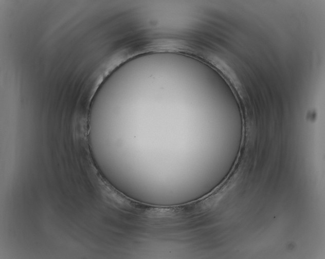X0000091071481200708201358