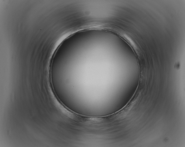 X0000091071483200708201358
