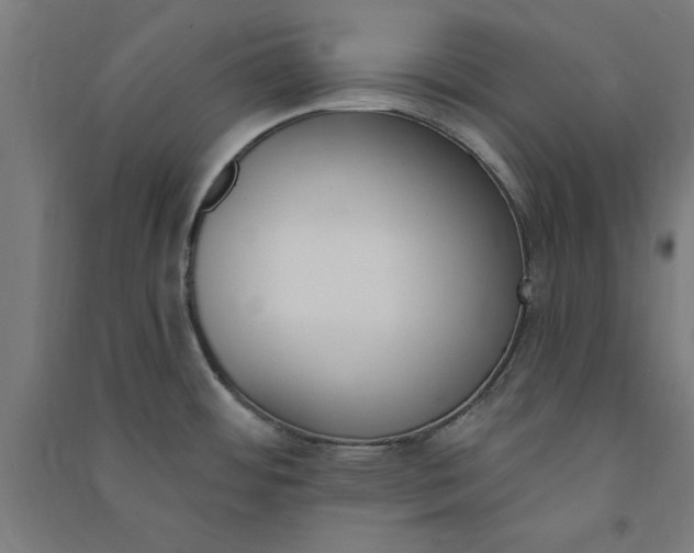 X0000091071484200708201358