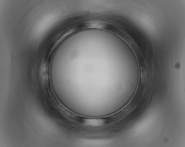 X0000091071487200708201358
