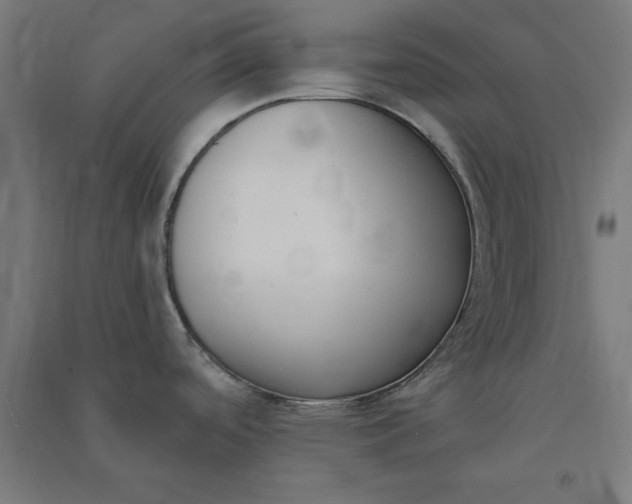 X0000091071488200708201358