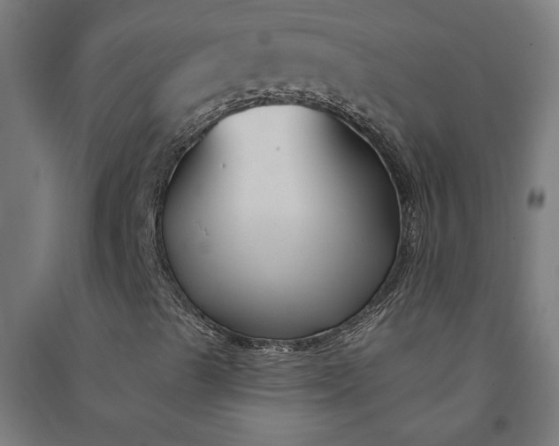 X0000091071489200708201357