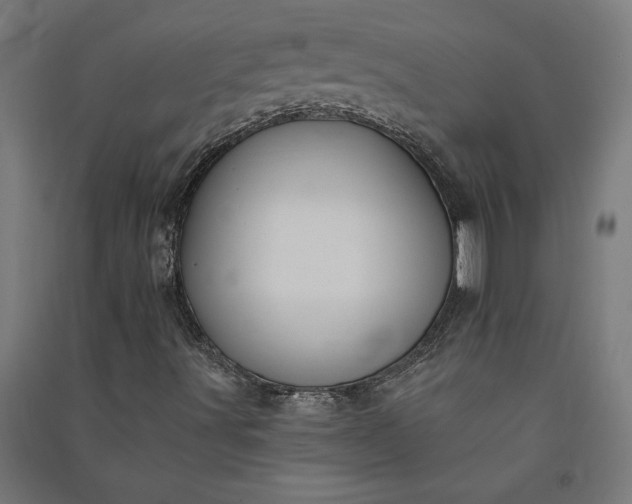 X0000091071491200708201357