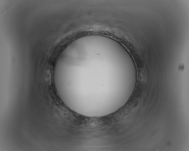 X0000091071493200708201357