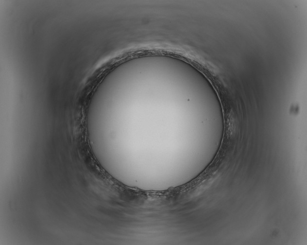 X0000091071494200708201357