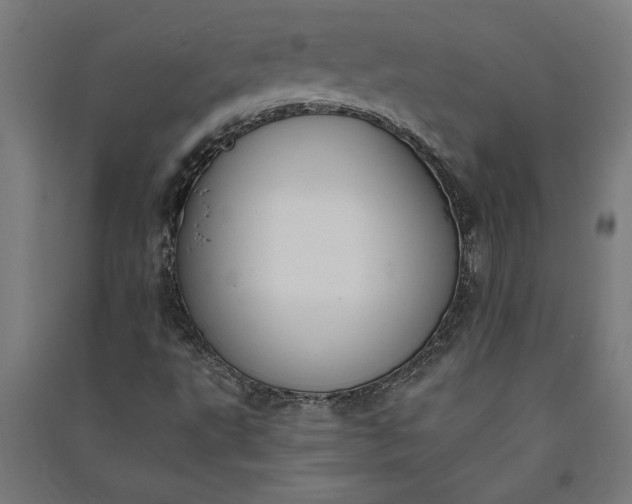 X0000091071495200708201357