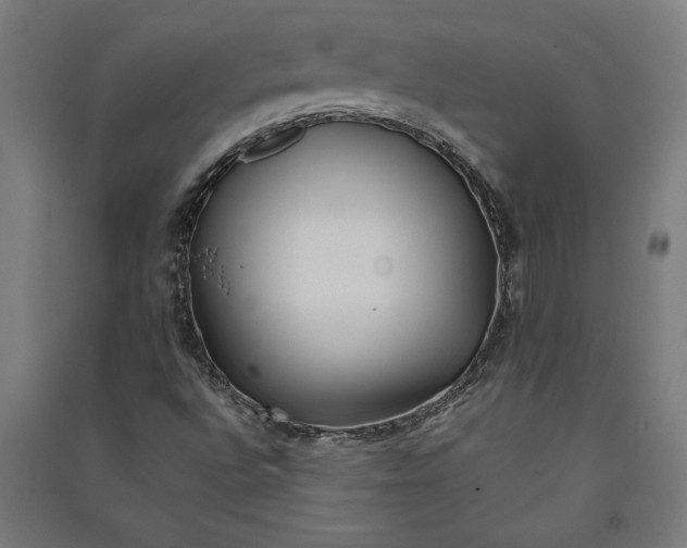 X0000091071496200708201357