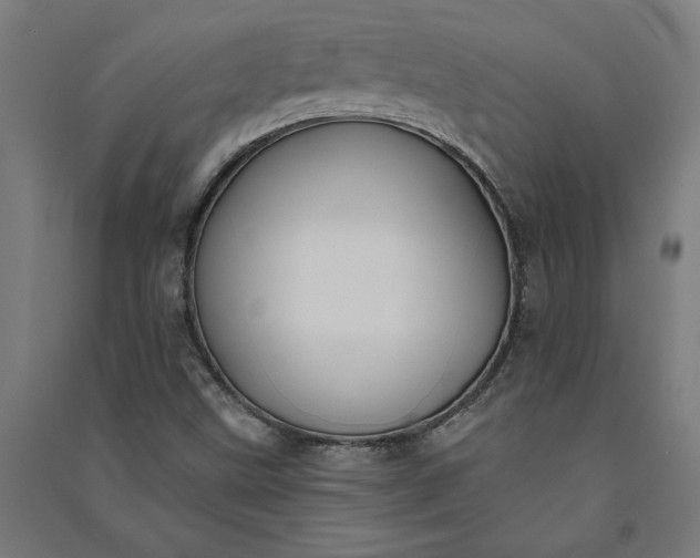 X0000091071499200708201357