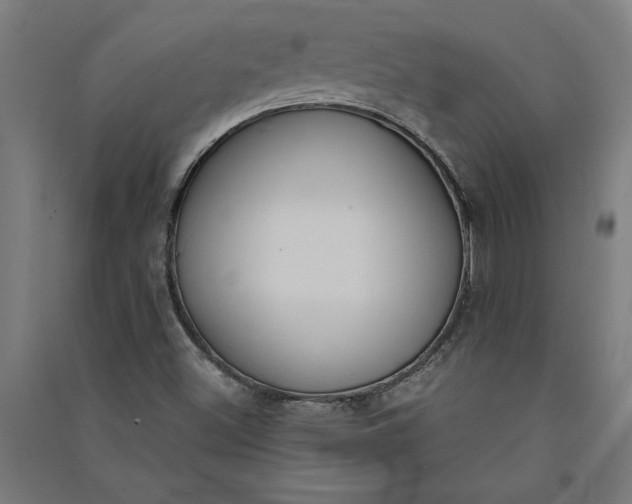 X0000091071500200708201357