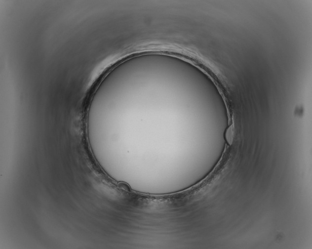 X0000091071501200708201357