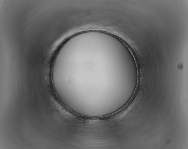 X0000091071502200708201357