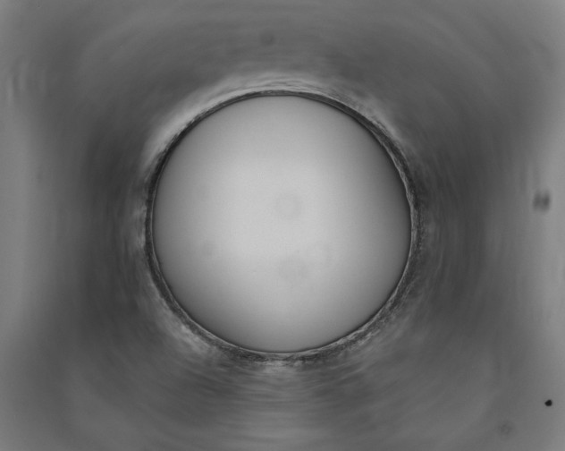 X0000091071504200708201357