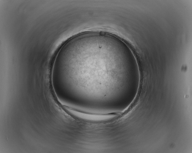 X0000091071506200708201357