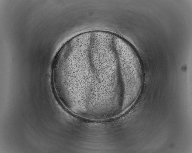 X0000091071508200708201357