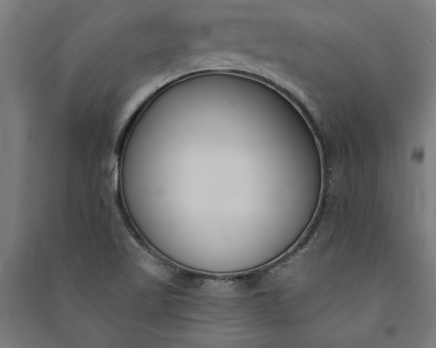 X0000091071509200708201357