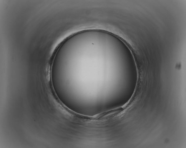 X0000091071510200708201357