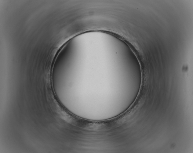X0000091071513200708201357