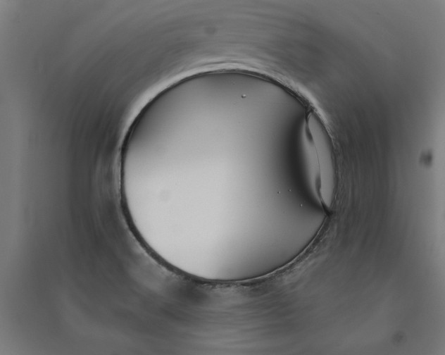 X0000091071516200708201357