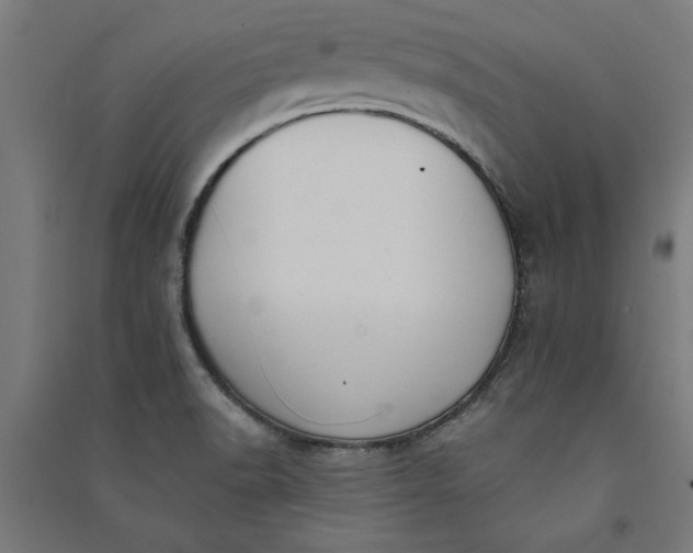 X0000091071518200708201357