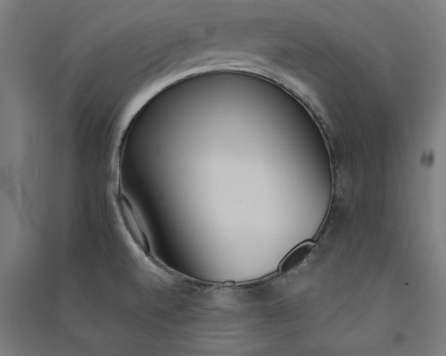X0000091071520200708201357