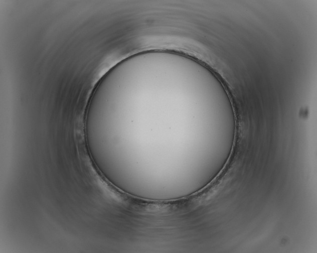 X0000091071521200708201357