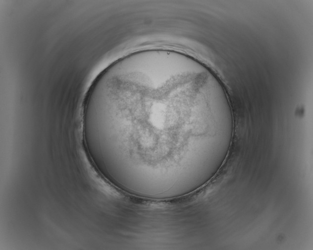 X0000091071522200708201357