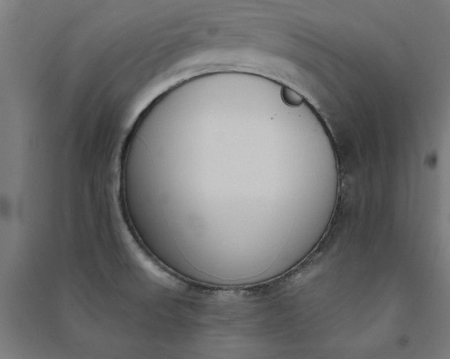 X0000091071523200708201357