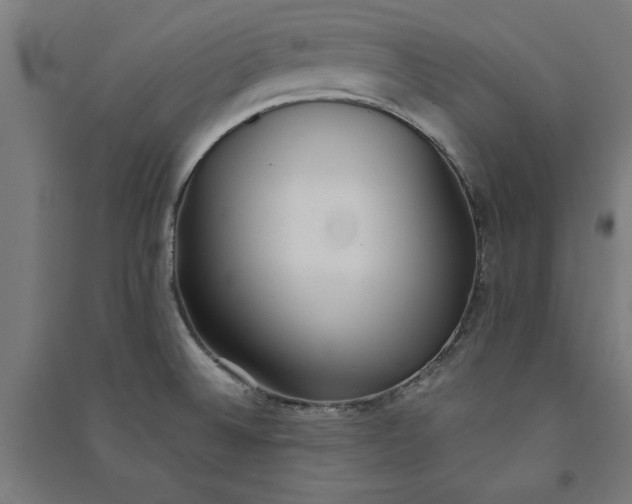 X0000091071524200708201357