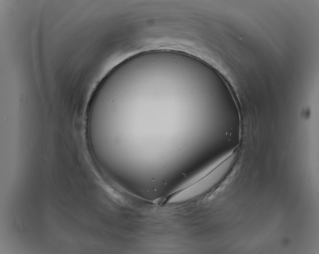 X0000091071525200708201357