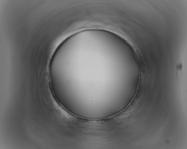 X0000091071527200708201357