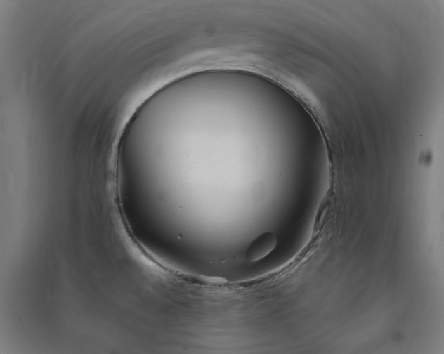 X0000091071528200708201358