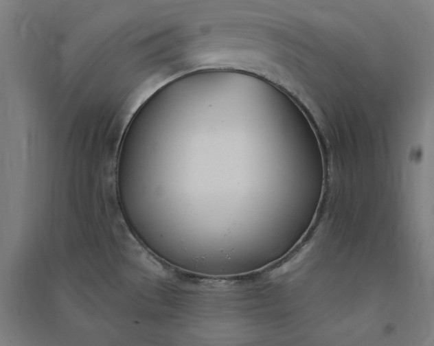 X0000091071529200708201358