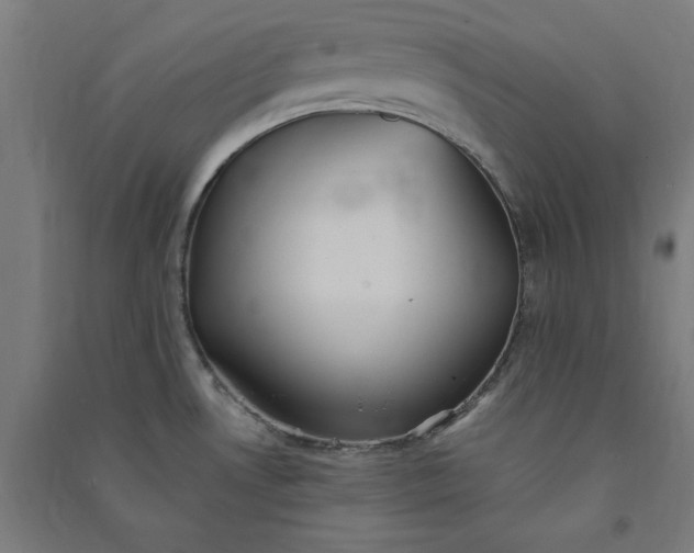 X0000091071530200708201358