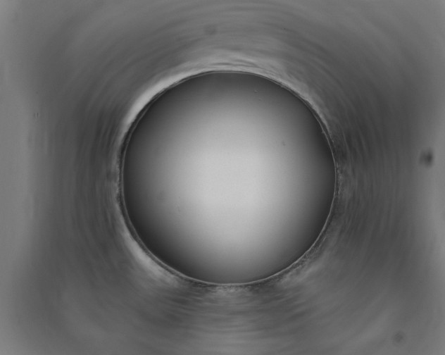 X0000091071531200708201358