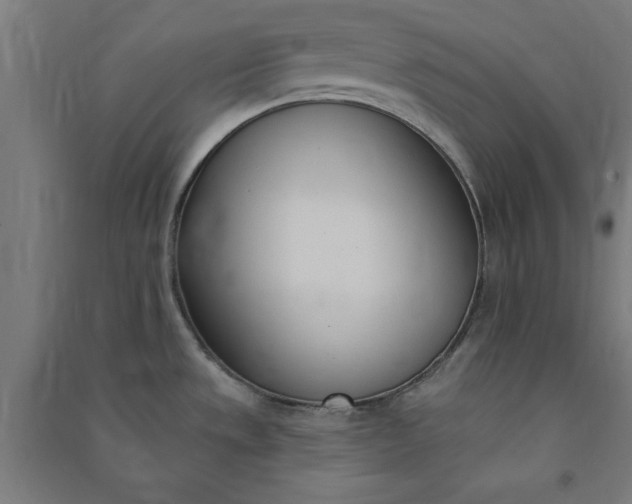 X0000091071533200708201358