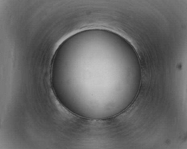 X0000091071534200708201358