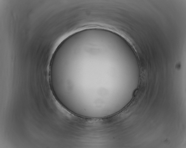 X0000091071535200708201358