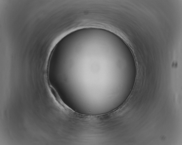 X0000091071536200708201358