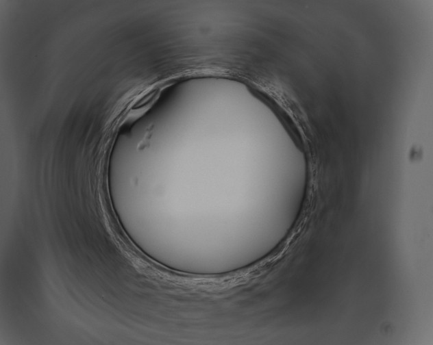 X0000091070001200708271225