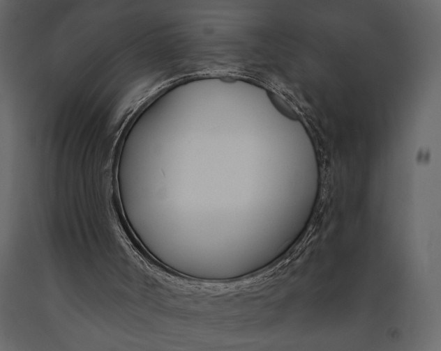 X0000091070002200708271225