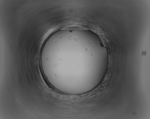 X0000091070003200708271225