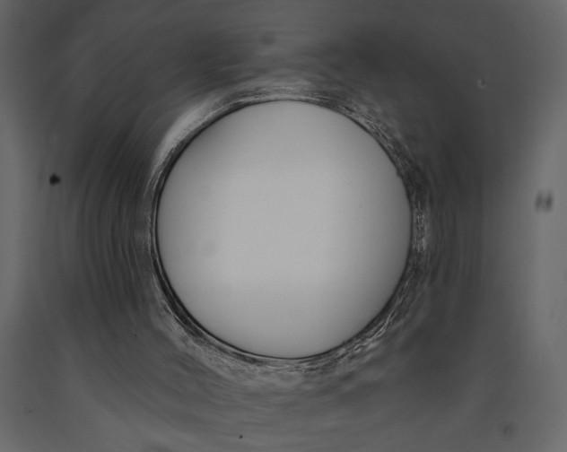 X0000091070004200708271225