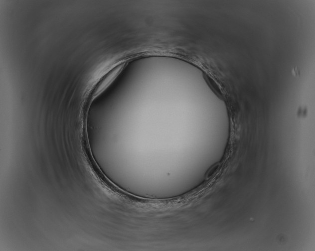 X0000091070005200708271225