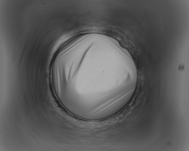 X0000091070006200708271225