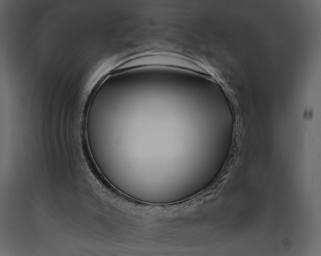 X0000091070007200708271225