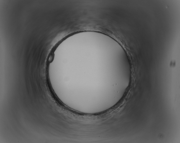X0000091070008200708271225