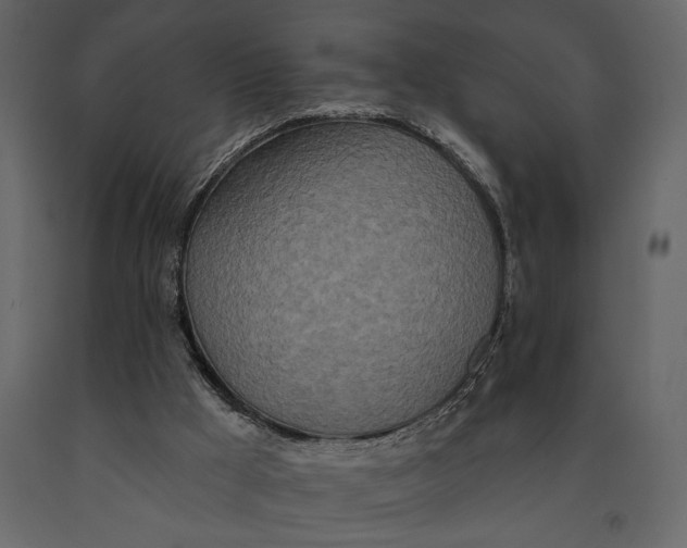 X0000091070009200708271225