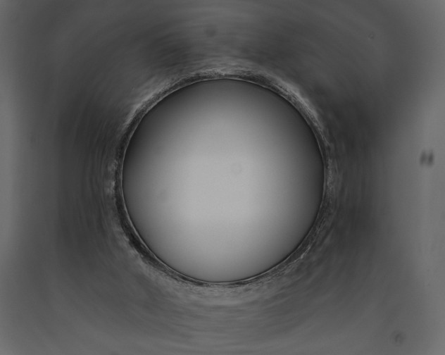 X0000091070010200708271225