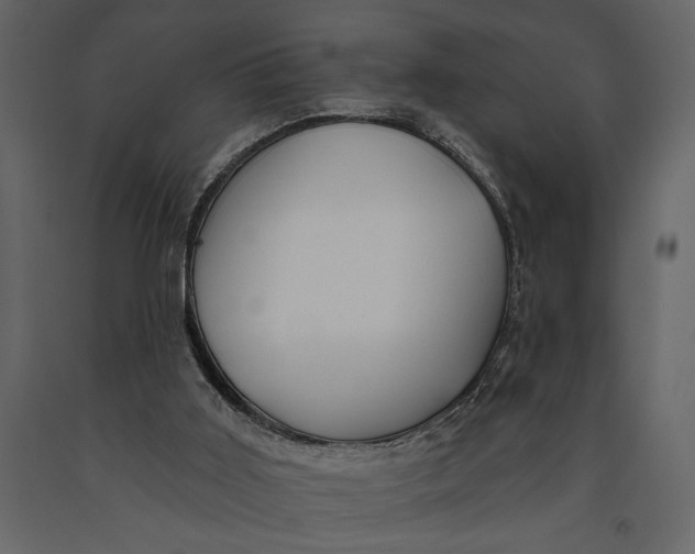 X0000091070011200708271225